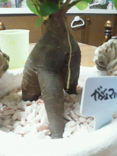201209202202001.jpg