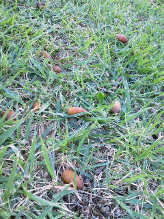 201210081233000.jpg