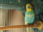 3726152ejpeg