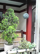 090909_1138~01.JPG
