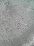 090909_1315~02.JPG
