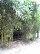 090909_1443~02.JPG
