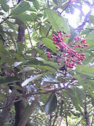 090909_1450~01.JPG