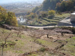 20111126_1.jpg