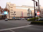 20111127_1.jpg