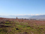 20111210_0.jpg