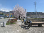20120415_1.jpg