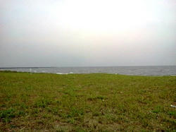 d023a75e.jpg