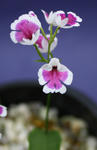 0708b9a1.jpg