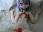 pa5.jpg