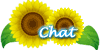 sunf_chat1.gif