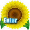 sunf_enter1.gif