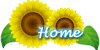 sunf_home1.gif