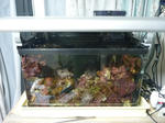2012.2.101.JPG