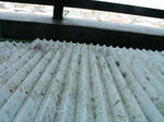 image33.jpg