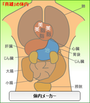 体内メーカー