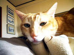 20071120-02.jpg