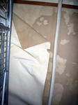 20090325-02.JPG