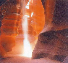 未知との出会いがしら