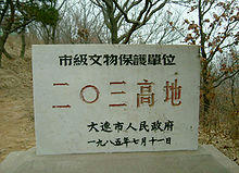 戦略的要地２０３高地