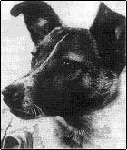 英雄クドリャフカ（ライカ）