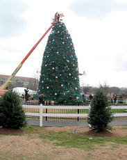 クリスマスツリー