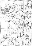 3846498b.gif