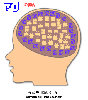 脳内メーカー