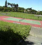 07-08-25_12-33.jpg