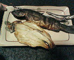 魚