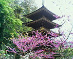 室生寺