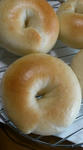 bagel
