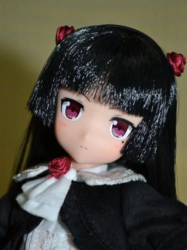 ピュアニーモアップ