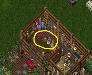 uo14.JPG