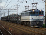 DSC04427.JPG