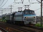 DSC04552.JPG
