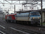 DSC04993.JPG