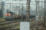 IMG_2795.JPG