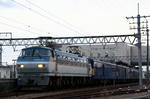 s-_MG_0115.jpg