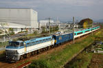 s-_MG_0210.jpg