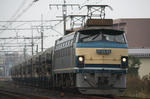 s-_MG_1094.jpg