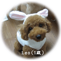 Leo1