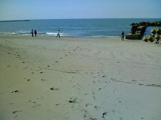 NEC_0020.jpg