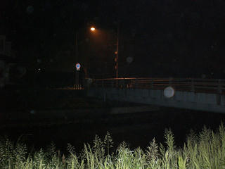 CIMG1195.jpg