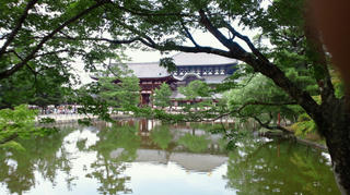 NEC_0107.JPG