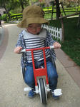 IMG_2640.JPG