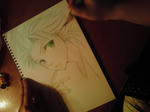 2009031417270000.jpg