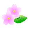 sakura.gif