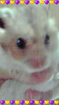 2009060118460000.jpg