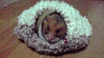 2010020221530000.jpg